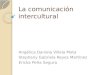 La comunicación intercultural
