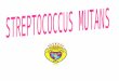 STREPTOCOCCUS MUTANS