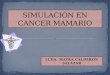 SIMULACIÓN EN CANCER MAMARIO