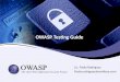 OWASP Testing Guide
