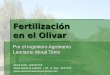 Fertilización  en el Olivar