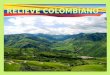 RELIEVE COLOMBIANO