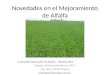 Novedades en el Mejoramiento de Alfalfa