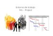 Entorno de  trabajo  Ms – Project