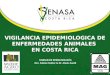 VIGILANCIA EPIDEMIOLOGICA DE ENFERMEDADES ANIMALES  EN COSTA RICA