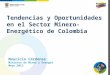 Tendencias  y  Oportunidades  en el Sector  Minero-Energético  de Colombia
