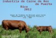 Proyecto  Ganado  Bovino para  Carne    Finca Montaña  CCA - RUM