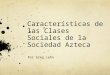 Características de las Clases Sociales de la Sociedad Azteca