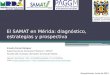 El SAMAT en Mérida: diagnóstico, estrategias y prospectiva