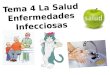 Tema 4 La Salud Enfermedades Infecciosas
