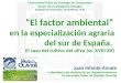 “El factor ambiental” en la especialización agraria del sur de España
