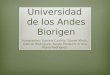 Universidad  de los Andes Biorigen
