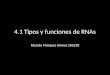 4.1 Tipos y funciones de  RNAs