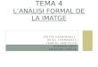TEMA 4 L’anàlisi formal de la imatge