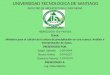 UNIVERSIDAD TECNOLOGICA DE SANTIAGO FACULTAD DE ARQUITECTURA E INGENIERIA ASIGNATURA: