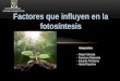 Factores que influyen en la fotosíntesis