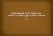 PRINCIPIOS  RECTORES DEL NUEVO CODIGO PROCESAL PENAL