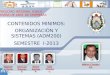 CONTENIDOS MINIMOS: ORGANIZACIÓN Y SISTEMAS (ADM200) SEMESTRE  I-2013
