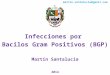 Infecciones por  Bacilos  Gram  Positivos (BGP) Martín Santalucía 2014