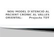 NOU MODEL D’ATENCIÓ AL PACIENT CRÒNIC AL VALLES ORIENTAL:       Projecte TDT