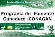 Programa  de   Fomento  Ganadero -CONAGAN