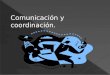 Comunicación y coordinación