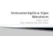 Inmunoréplica  tipo Western