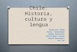 Chile: Historia, cultura y lengua