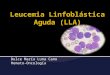 Leucemia  Linfoblástica  Aguda (LLA)