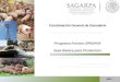 Programa Porcino (PROPOR) Guía Básica para Productores