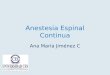 Anestesia Espinal  C ontinua