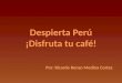 Despierta Perú ¡Disfruta tu café!