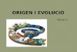 ORIGEN I EVOLUCIÓ