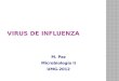 VIRUS DE Influenza