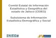 Comité Estatal de Información Estadística y Geográfica del estado de Jalisco (CEIEG)