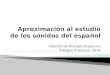 Aproximación al estudio de los sonidos del español