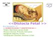 <<Distocia Fetal >>