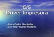E/S Driver Impresora