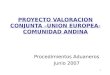 PROYECTO VALORACION CONJUNTA –UNION EUROPEA-COMUNIDAD ANDINA