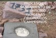 PROCESO DE SANEAMIENTO DE TERRITORIO INDIGENAS ORIGINARIOS CAMPESINOS