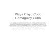 Playa Cayo Coco Camagüey Cuba