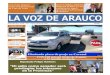 La Voz de Arauco Ed. Febrero - Marzo 2013
