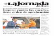 La Jornada Jalisco 25 junio 2013
