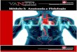 Modulo I Anatomia y Fisiologia
