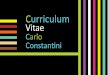 Curriculum vitae carlo constantini 2014 publico