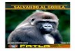 Revista Gorila