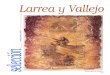 Larrea y Vallejo