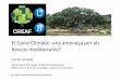 El Canvi Climàtic: una amenaça per als boscos mediterranis?
