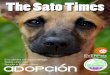 The Sato Times - Edición Especial EVERPets (3ra Edición)