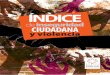 Indice de Inseguridad Ciudadana y Violencia
